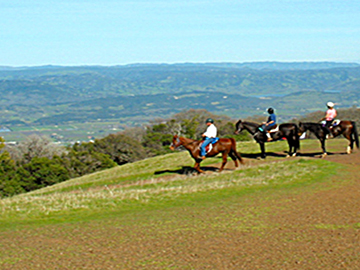 Horseback Riding