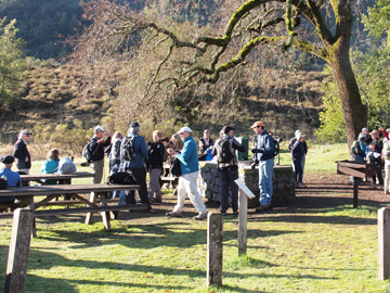 Picnics at the Group Campsite