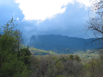 View of Sonoma Mountain